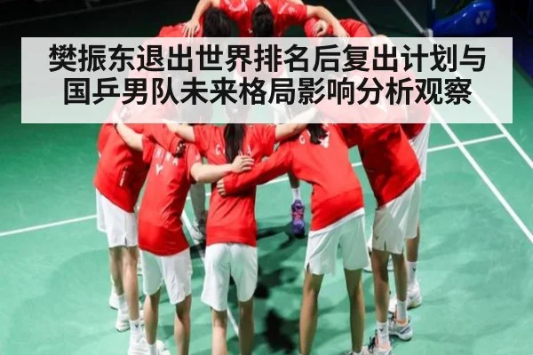 樊振东退出世界排名后复出计划与国乒男队未来格局影响分析观察